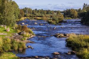 jokimaisema