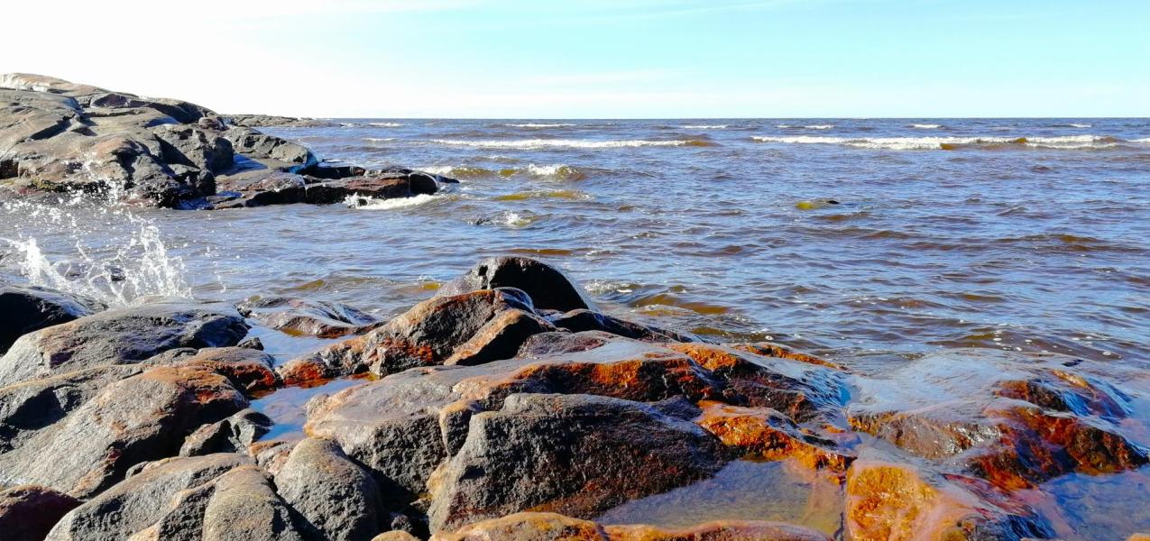 pärskeitä mereltä