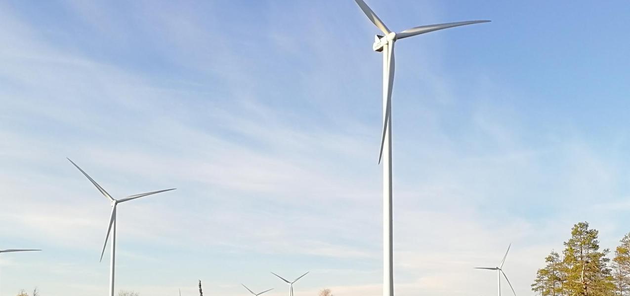 Kuva tuulimyllyistä