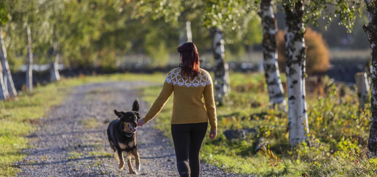 Harrastukset ja aktiviteetit Pyhäjoella