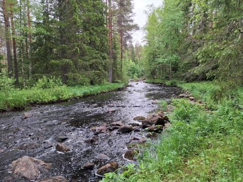 Liminkaoja Alatalon Kalliokosken alapuolelta