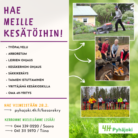 Voit hakea seuraaviin kesätyöpaikkoihin: Työpalvelu, Arboretum, leirien ohjaus, kesäkerhon ohjaus, säkkikeräys, taimien istutus, 4H-Yrittäjänä toimiminen kesäkioskilla tai oman 4H-Yrityksen perustaminen