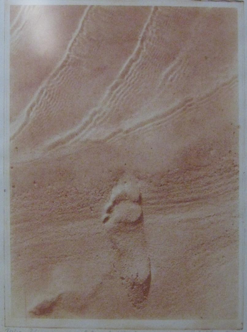 Kuva Kleine Staarmanin teoksesta.