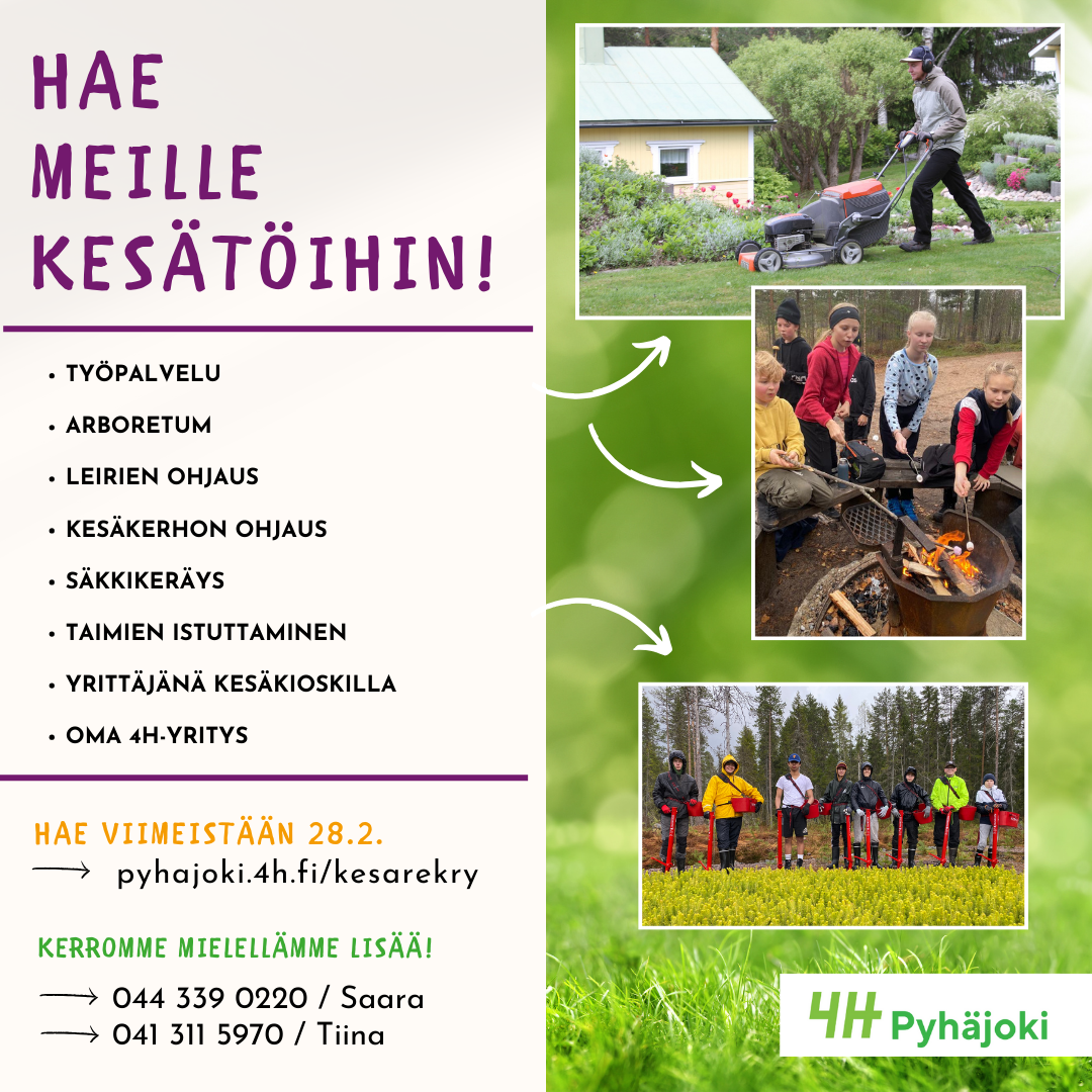 Voit hakea seuraaviin kesätyöpaikkoihin: Työpalvelu, Arboretum, leirien ohjaus, kesäkerhon ohjaus, säkkikeräys, taimien istutus, 4H-Yrittäjänä toimiminen kesäkioskilla tai oman 4H-Yrityksen perustaminen